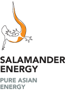 Salamander Energy